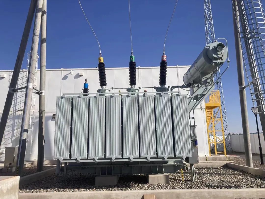 1740566970207843.jpg 微信圖片_20250226173325.jpg